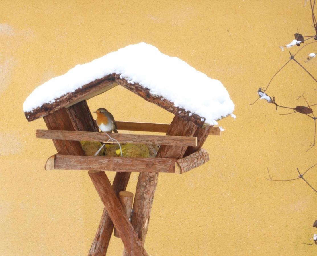 Le Chant Des Oiseaux - Au Pied De La Voie Cyclable Crevechamps Bagian luar foto